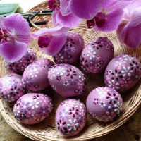 /album/fotogalerie-avadesign/product-img500w-67-jpg/